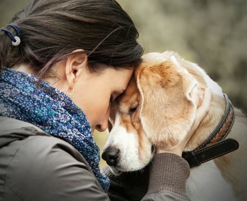 Dog and woman holding their heads together