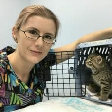 Leila Szasz with kittens in a crate
